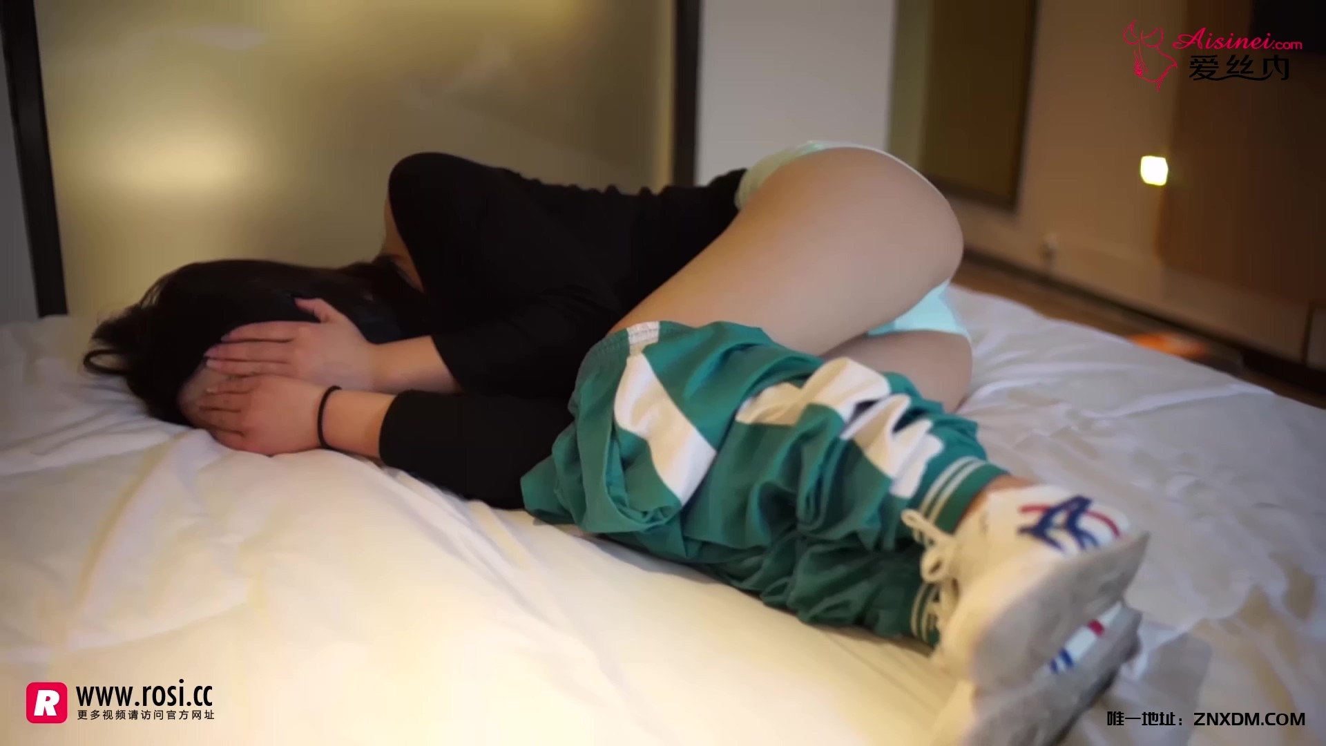 ZNWU-汇集名站资源，一站式在线获取~