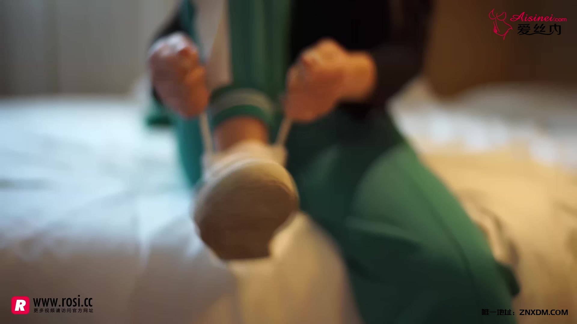 ZNWU-汇集名站资源，一站式在线获取~