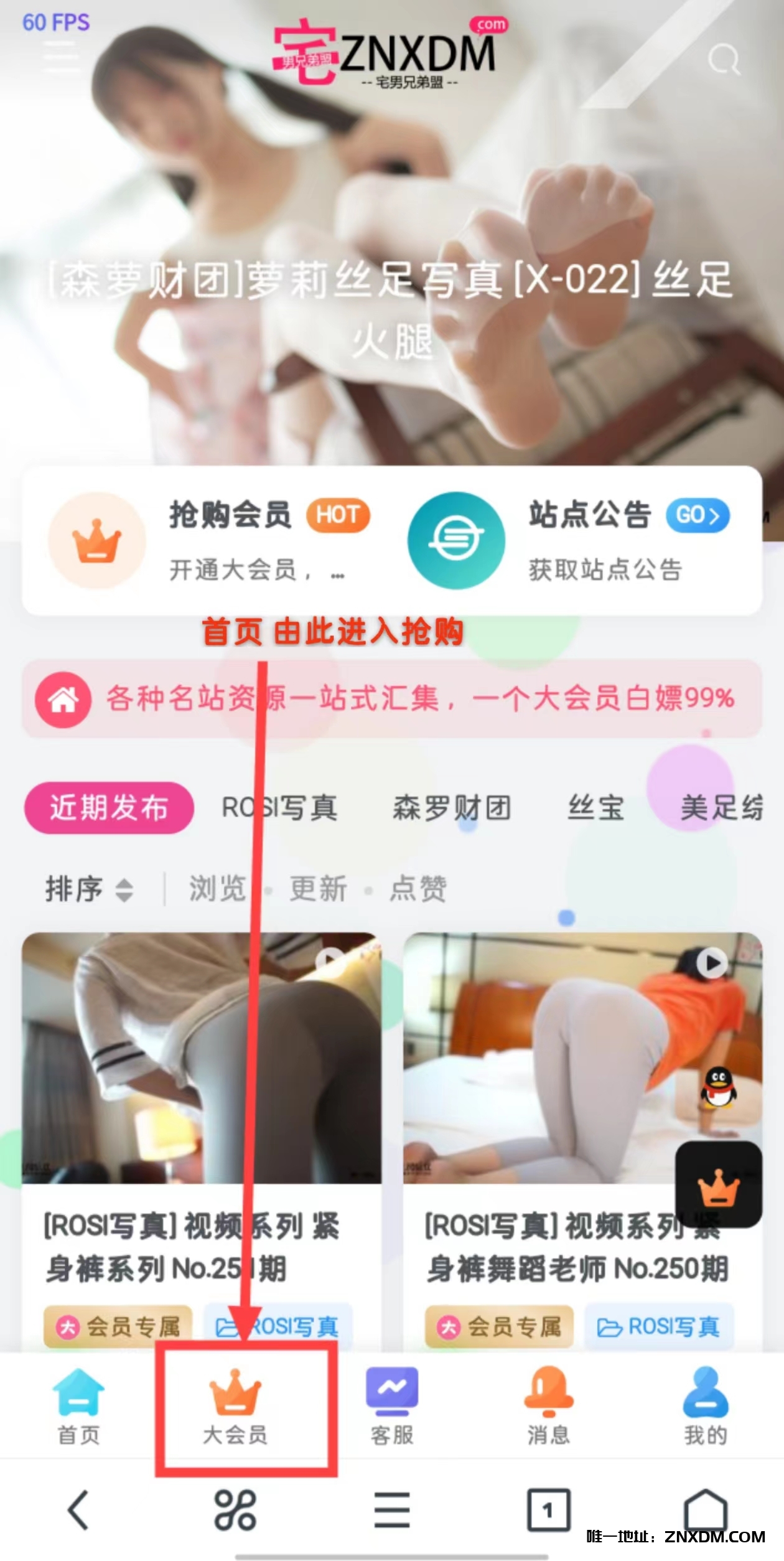 本月仅特别放送100位大会员！-XDM
