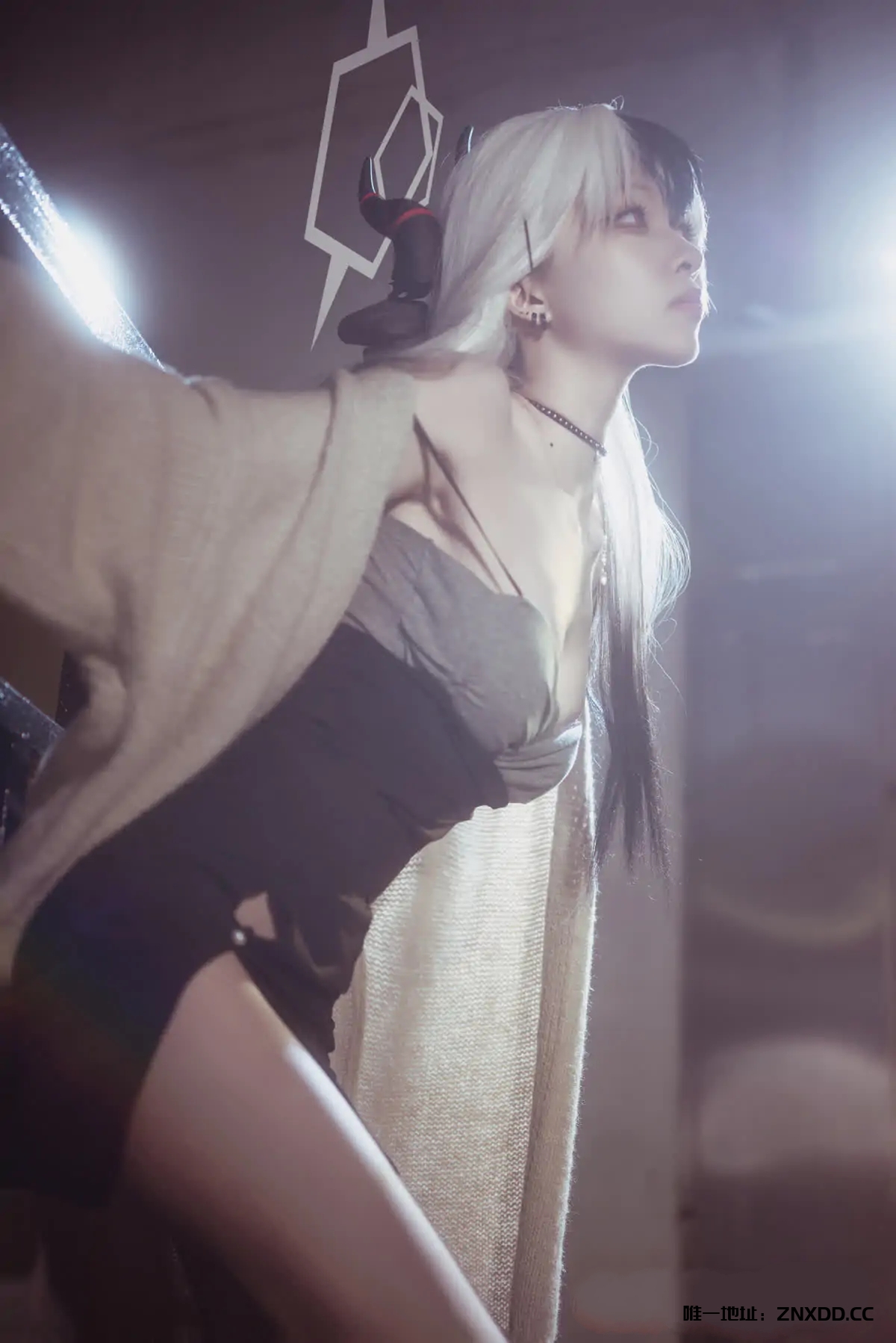 图片[7]-矢量鱼 – 全套16期[5.2G-2025.9]-XDM