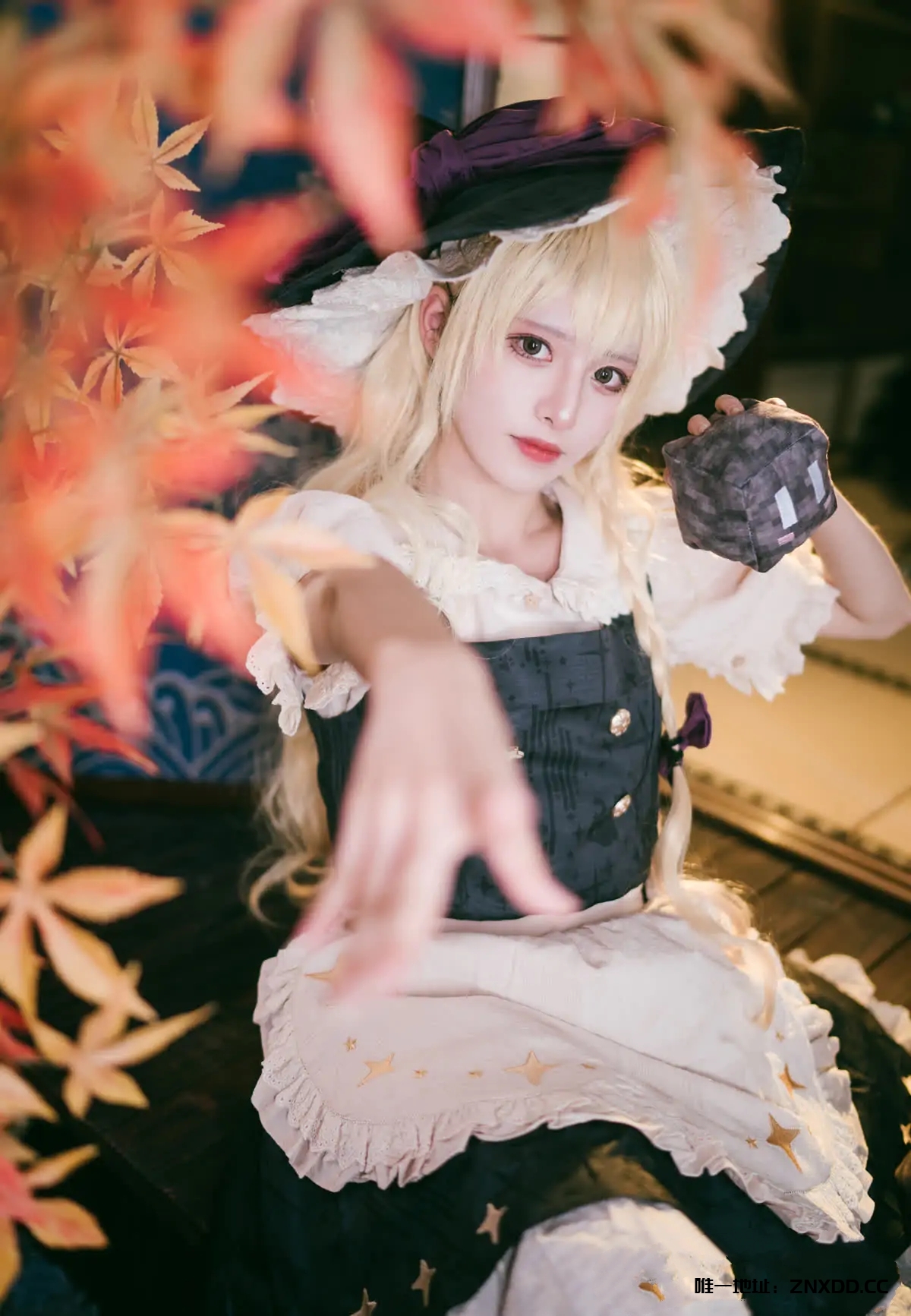 图片[1]-重庆崽儿的神仙Coser✨，这还原度我直接尖叫！腥味猫罐 – 全套13期[1.6G-2025.10新发]-XDM