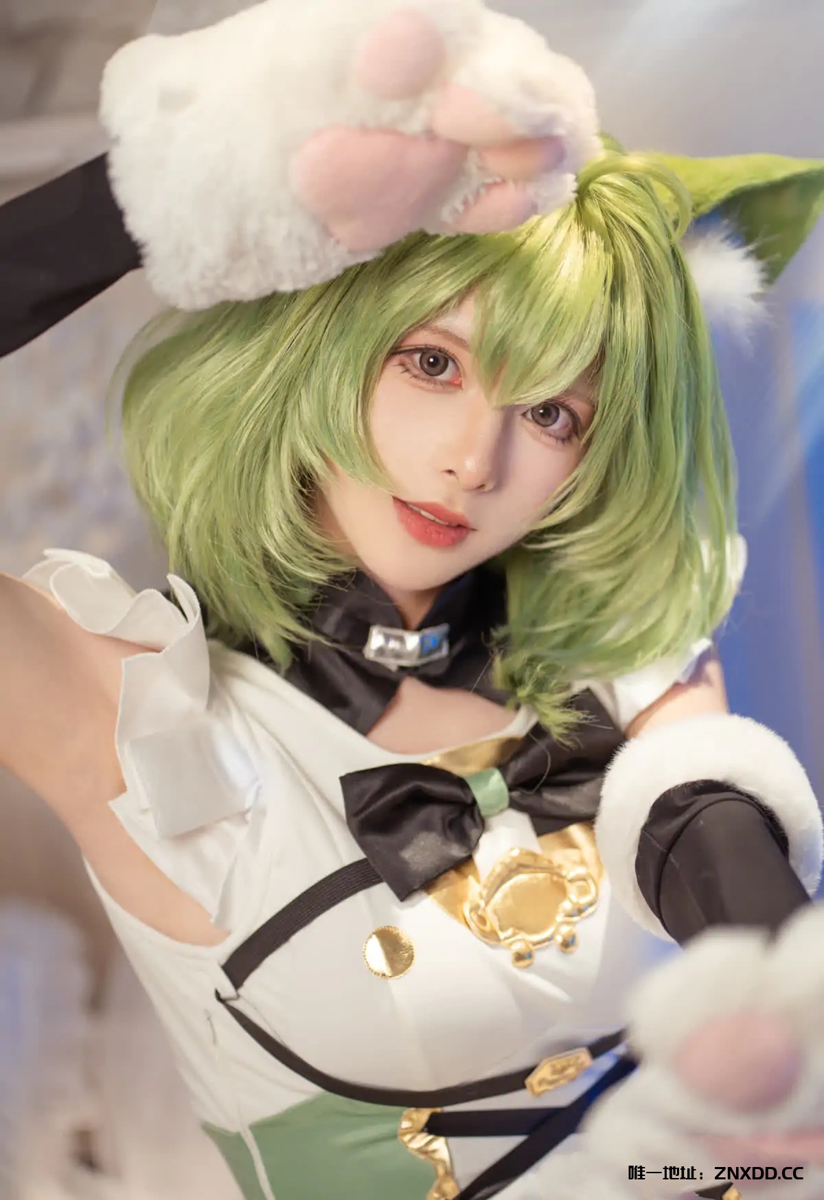 图片[8]-重庆崽儿的神仙Coser✨，这还原度我直接尖叫！腥味猫罐 – 全套13期[1.6G-2025.10新发]-XDM