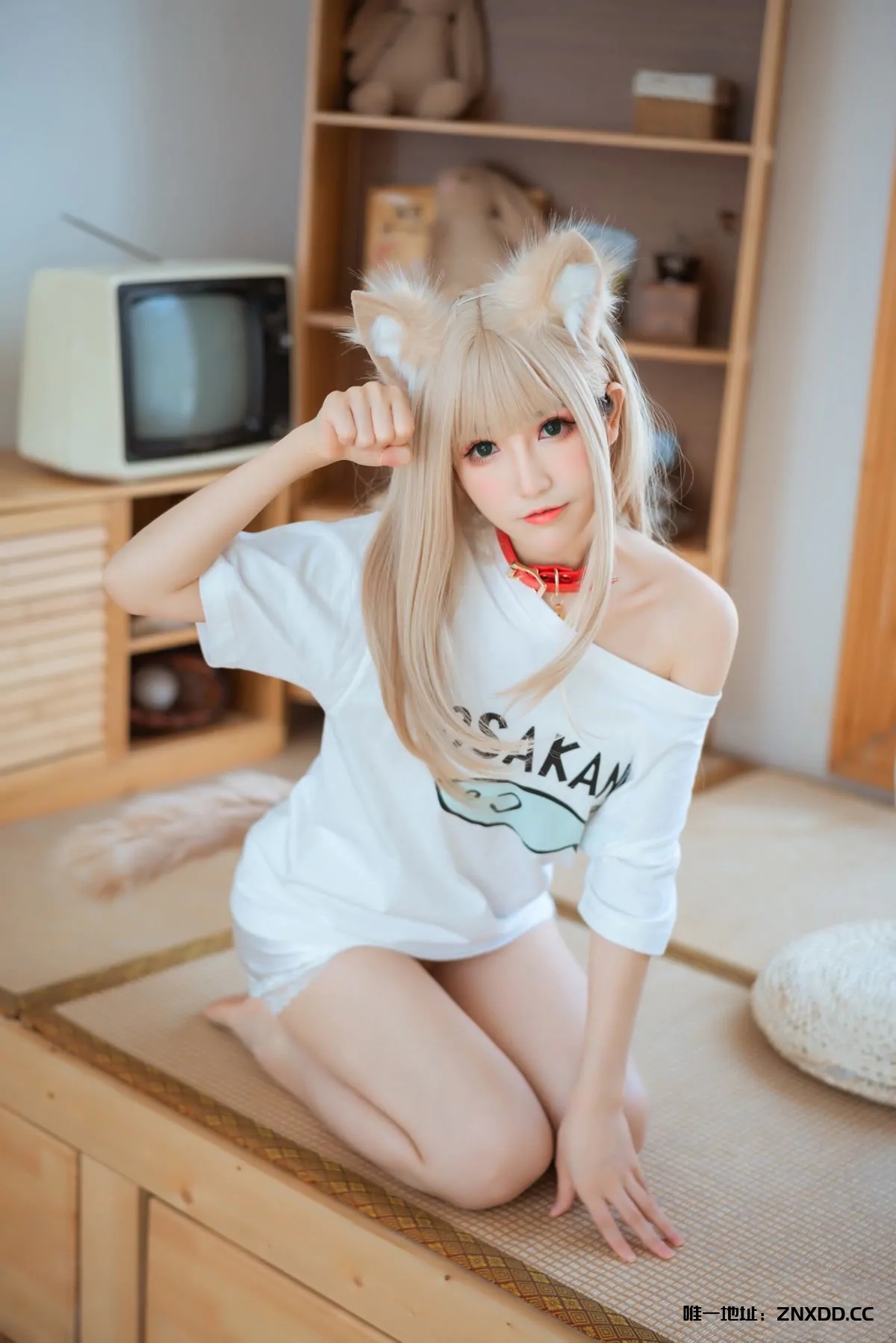 纯欲顶流Coser衣衣｜可甜可辣的百变宝藏女孩✨全套18期&随包视频[持续更新]-XDM